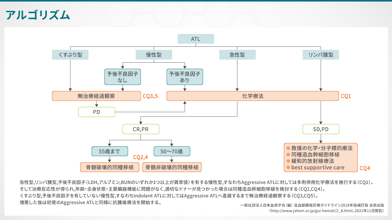 画像１