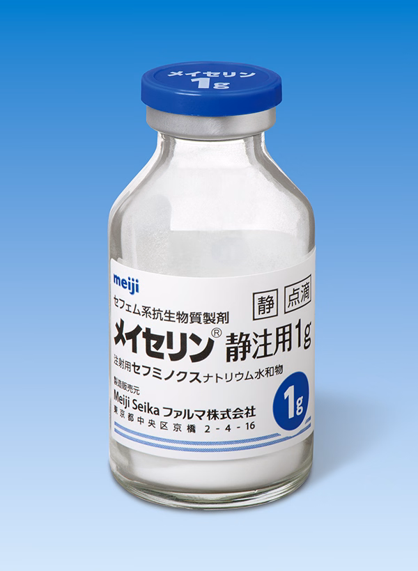 メイセリン静注用1g