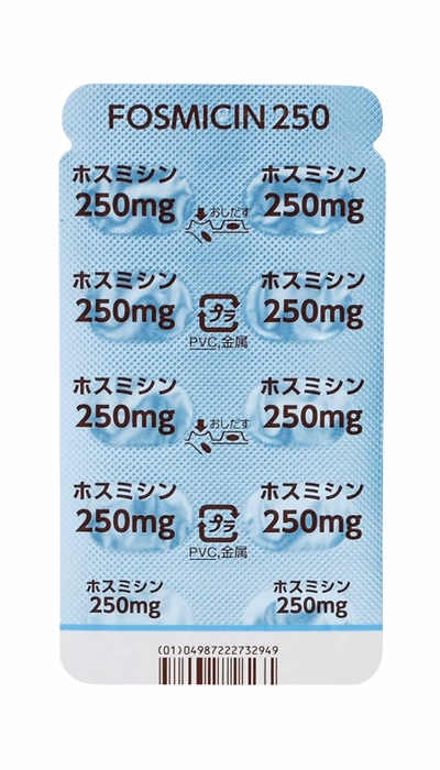 ホスミシン錠250 PTP裏