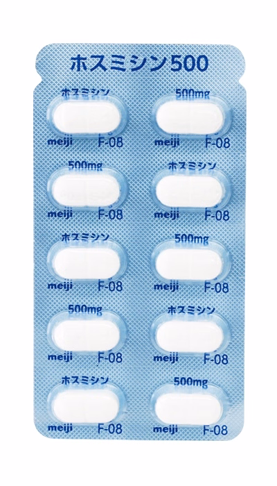 ホスミシン錠500 PTP表