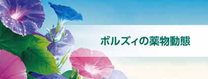 ボルズィ錠　特定項目製品情報概要　薬物動態リーフ